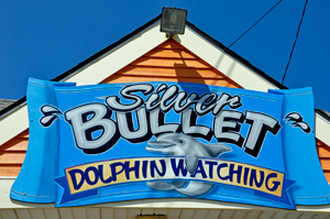 Silver Bullet Dolphin Watching sign